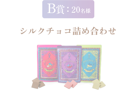 B賞：20名様 シルクチョコ詰め合わせ